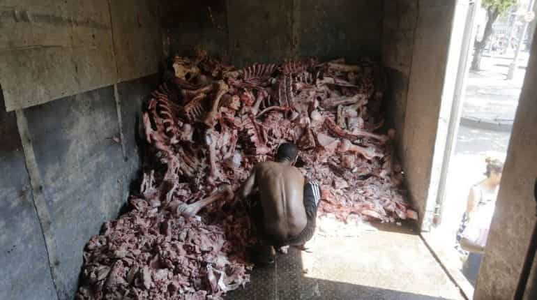 Harrowing photographs: Starving Brazilians digging through animal carcasses for food Harrowing photographs: Starving Brazilians digging through animal carcasses for food