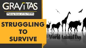 Gravitas: World Animal Day 2021
