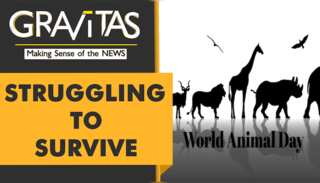 Gravitas: World Animal Day 2021