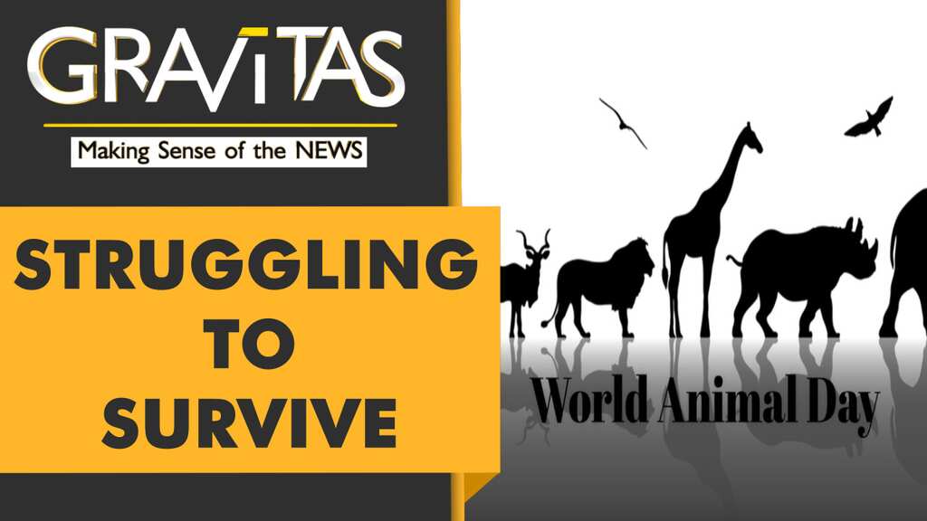 Gravitas: World Animal Day 2021