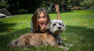 'Genius dogs' have a strong grip over human language: Study