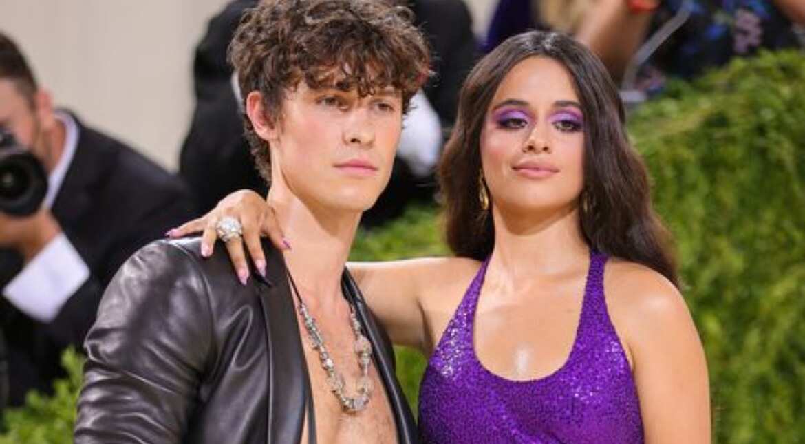 The reason behind Shawn Mendes and Camila Cabello's break up The reason behind Shawn Mendes and Camila Cabello's break up