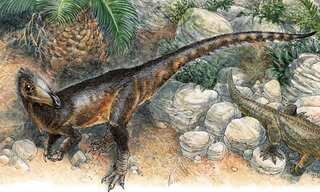 New species discovered is the oldest meat-eating dinosaur found in UK