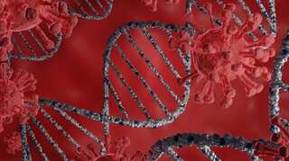 Study suggests that Alzheimer's and COVID-19 share genetic risk factor