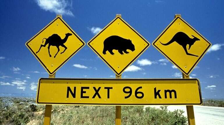 Environmentalists tell Australia, it 'needs more efforts to halt biodiversity decline'