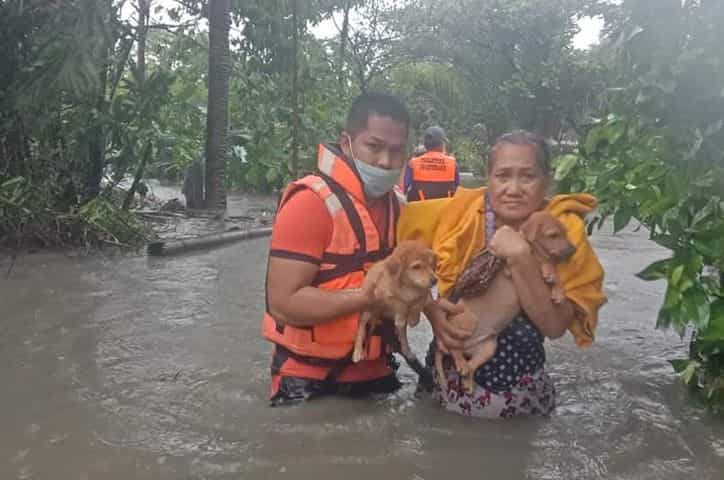 Nine dead in Philippines storm Nine dead in Philippines storm