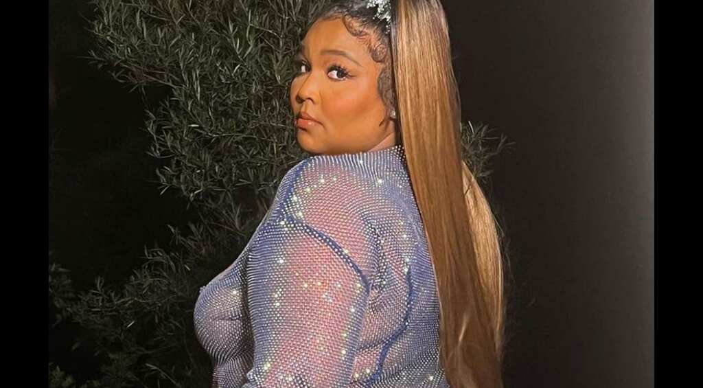 Lizzo is calling out haters who criticised her viral see-through dress