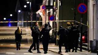 Norway: Police says several people killed in bow and arrow attack