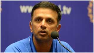 Post T20 World Cup, Rahul Dravid likely to be Team India's interim coach for New Zealand home series