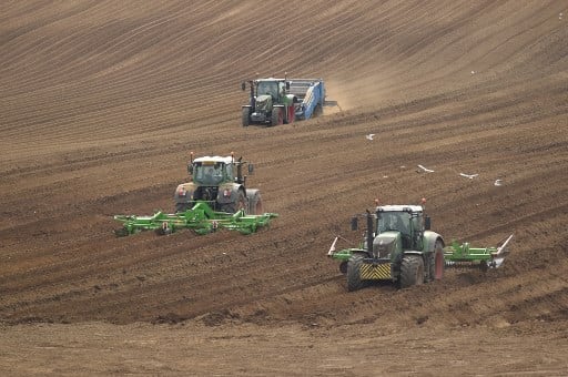 UK: One third of farmers could be depressed, reveals survey UK: One third of farmers could be depressed, reveals survey