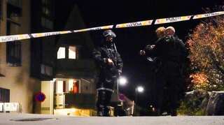Norway bow-and-arrow attacker may have acted due to mental illness