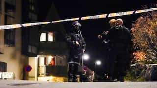 Norway bow-and-arrow attacker may have acted due to mental illness