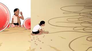 What the future holds for the coronavirus and us