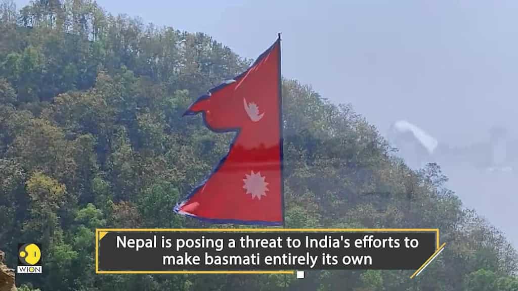 GI tag for basmati rice: Nepal poses big threat to India