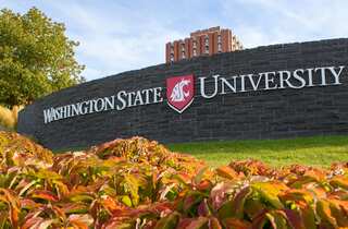 Washington State University fires football coach over vaccine refusal
