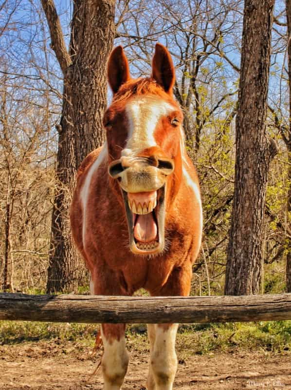 'Good Morning'