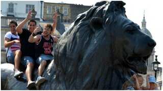London has more monuments for animals than for named women: Study