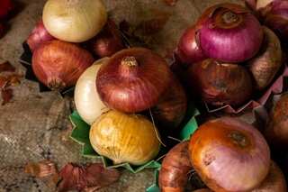 Philippines: Onions cost more than chicken, are even being smuggled in