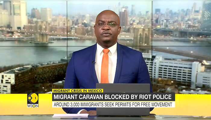 WionNews Video