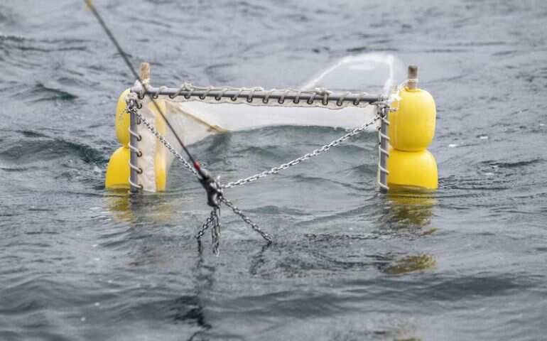 Into the 'plastisphere': Scientists comb Japan waters to study new eco threat Into the 'plastisphere': Scientists comb Japan waters to study new eco threat