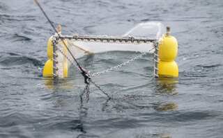 Into the 'plastisphere': Scientists comb Japan waters to study new eco threat