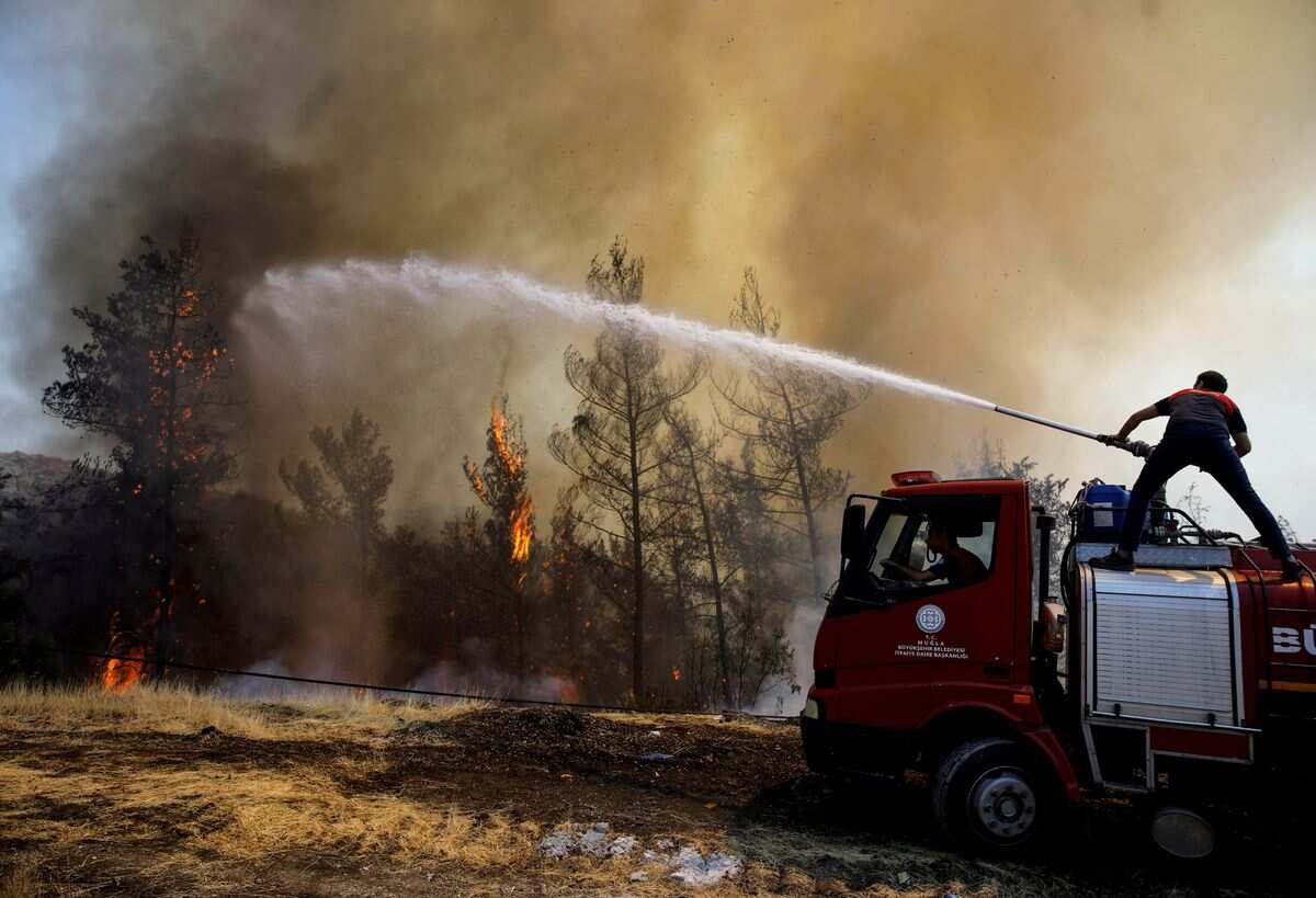 Fighting climate change. What can you do to help? Fighting climate change. What can you do to help?