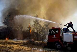Fighting climate change. What can you do to help?