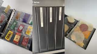 Real-life Monica: UK woman shocks internet with a 'super organised' fridge, food filed in binders