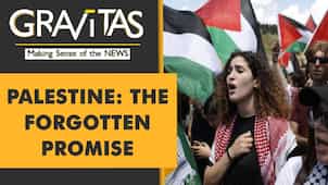 Gravitas: Has the Arab world abandoned Palestine?