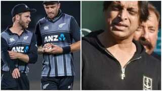 Were you safe in UAE? Shoaib Akhtar takes a dig at New Zealand after Pakistan clash in T20 WC
