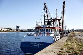 UK government summons French ambassador over post-Brexit fishing rights dispute