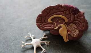 World Stroke Day 2021: What are the factors for acute stroke among Indians?