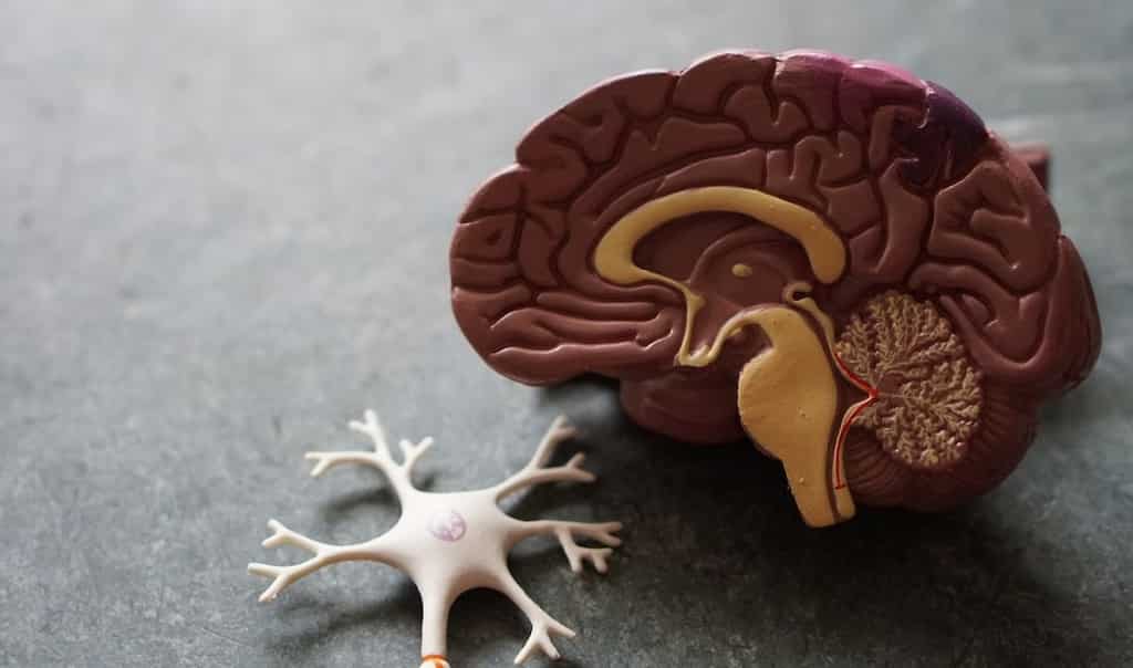 World Stroke Day 2021: What are the factors for acute stroke among Indians?