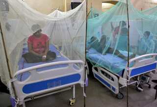 Dengue outbreak in India: Govt sends central teams to 9 states, union territories