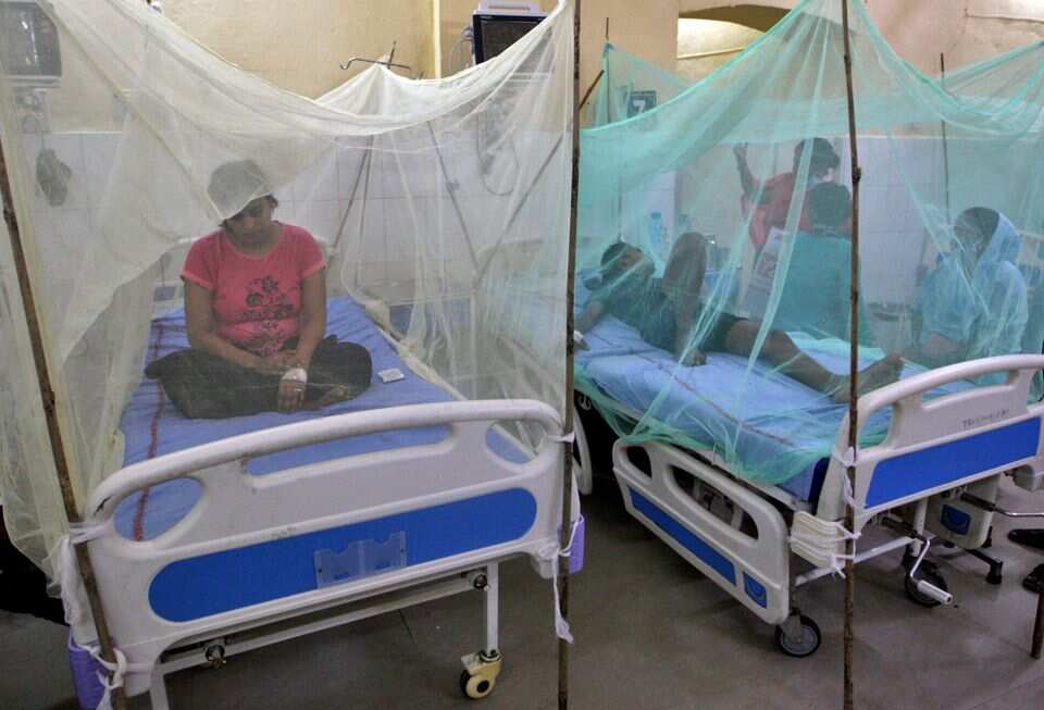Dengue outbreak in India: Govt sends central teams to 9 states, union territories