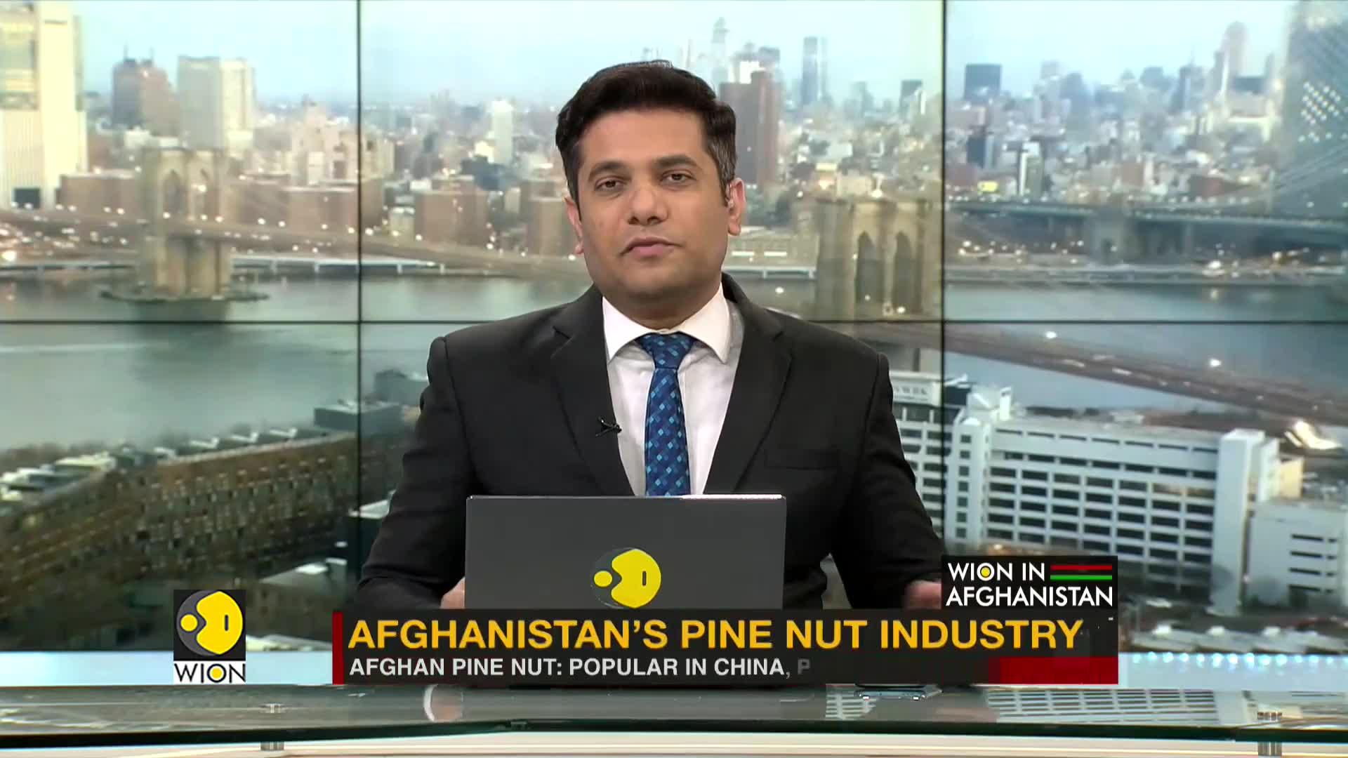 WionNews Video