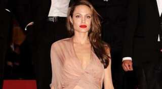 Angelina Jolie wins legal battle against ex-husband Brad Pitt over French winery