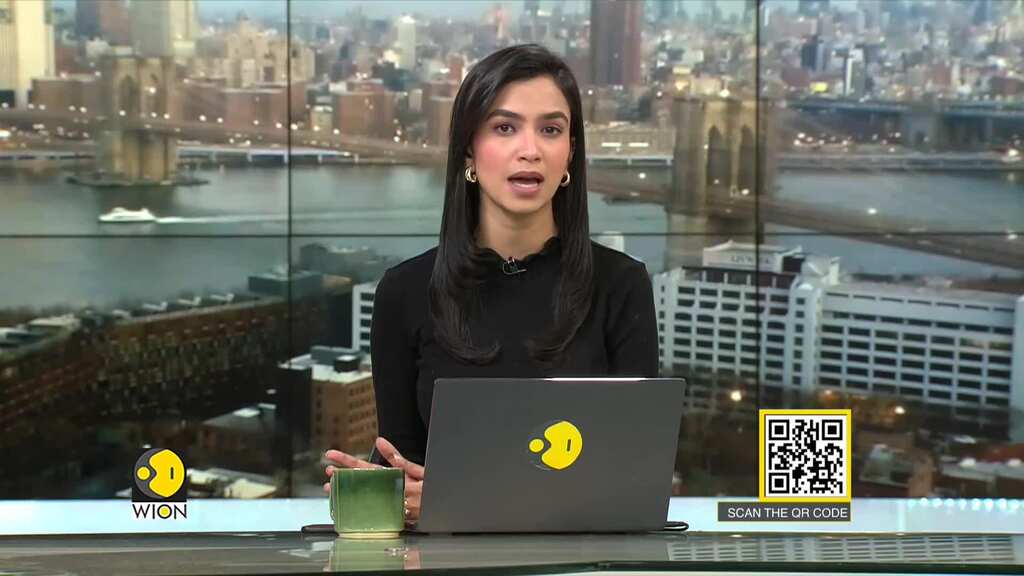 Kabul's wood crisis in winters: A WION ground report