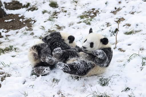 Snow play