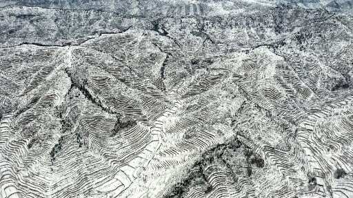 Snow-covered fields