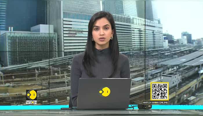 Seals carcasses wash up in South Africa