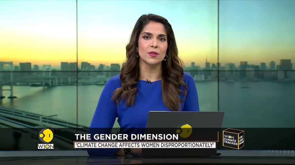 Little Amal at climate change summit