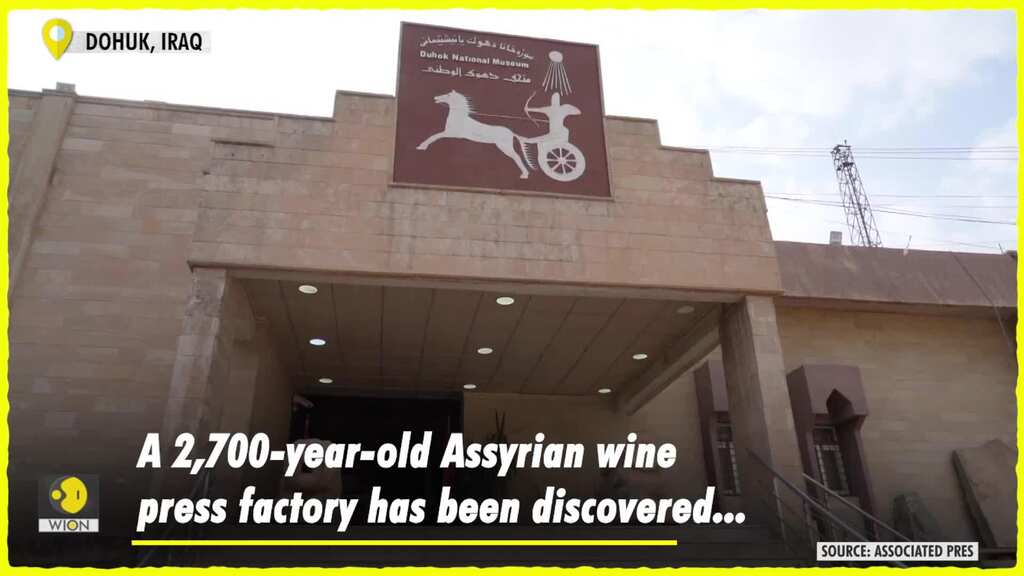 Archaeologists discovered a 2,700-year-old Assyrian wine press factory in Dohuk