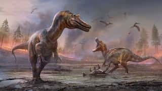 'Hell heron': New species of dinosaur with extremely large nose discovered