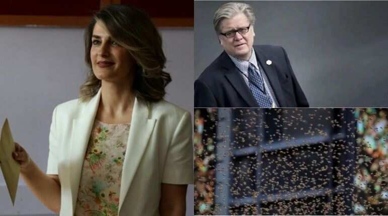 Morning news brief: Woman gets jail for typo, bees scream and more