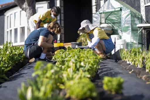 Crunch at ports may mean crisis for American farms