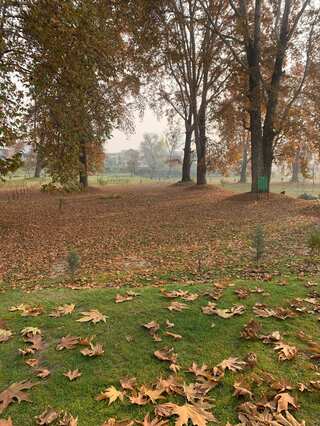 Autumn in Kashmir, Valley turns red as tourists throng to witness colour changes
