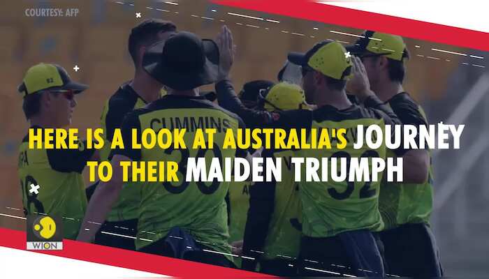 Never write them off: Champions Australia's journey to maiden T20 World Cup triumph