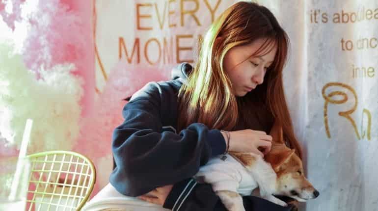 Video of Chinese health workers killing pet dog with a crowbar triggers backlash Video of Chinese health workers killing pet dog with a crowbar triggers backlash