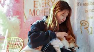 Video of Chinese health workers killing pet dog with a crowbar triggers backlash